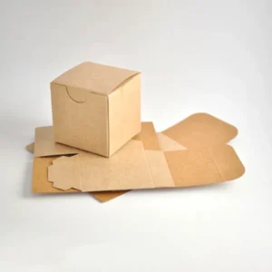 Kraft Paperboard Boxes