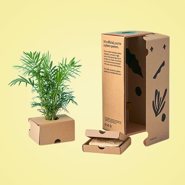 Plant Packaging Boxes Feature Image